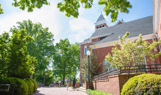 Trees bloom along the paved area beside Tillman auditorium.