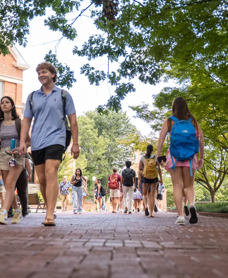 Several casually dressed college students walk along a brick pathway on a college campus among overhanging green leafy trees on a sunny day.