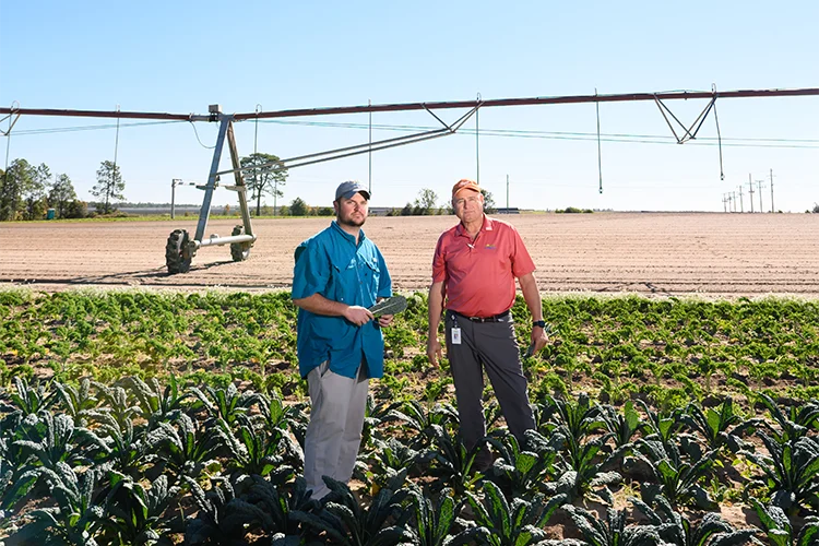 Two men stand in a farm field among rows of planted leafy greens. One man wears a gray baseball cap, blue fishing shirt and gray pants and holds a freshly picked leafy green. The other man wears an orange baseball cap, red polo shirt and dark gray pants. 